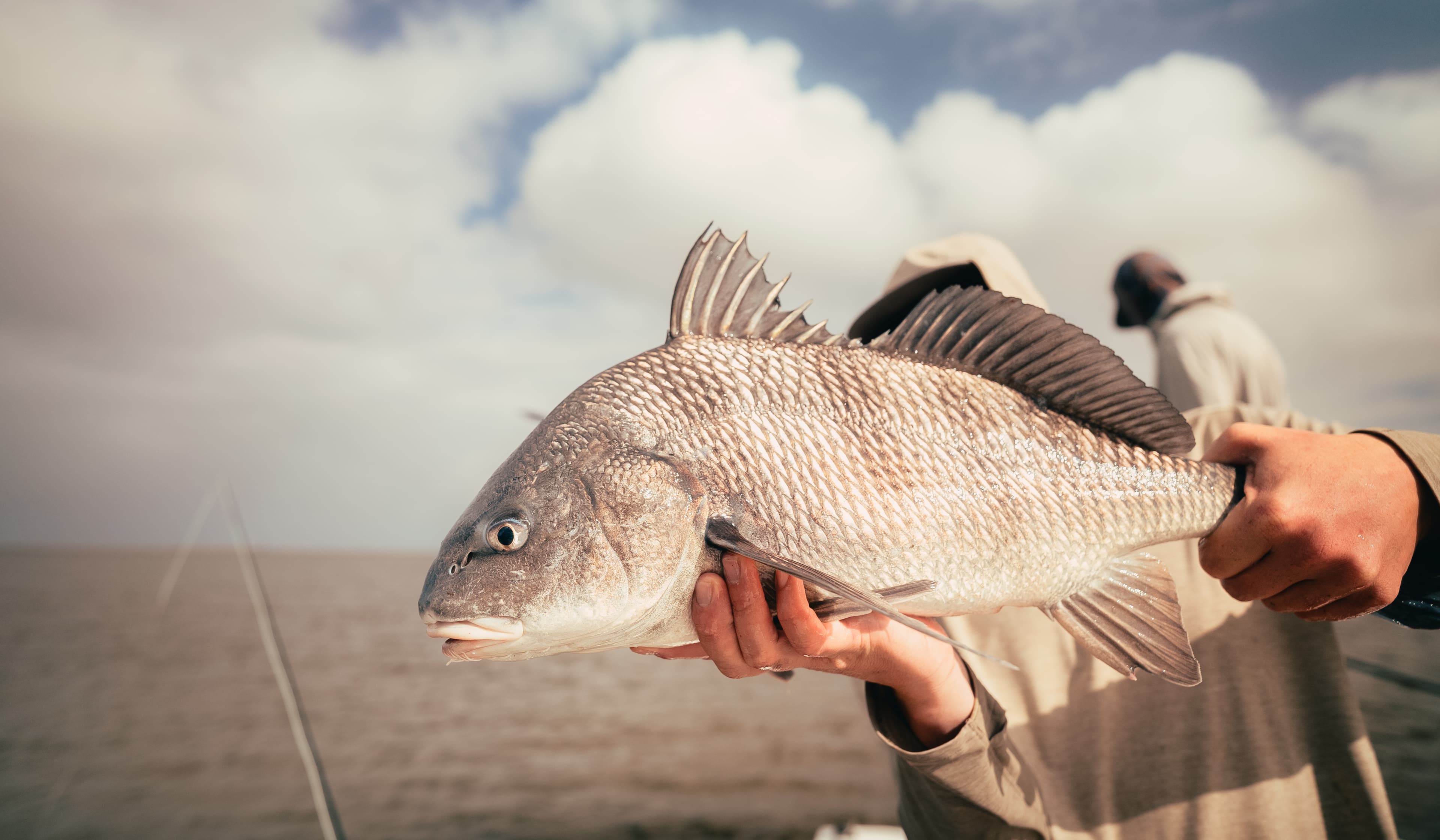 Redfish caught on a Louisiana saltwater fly fishing trip.