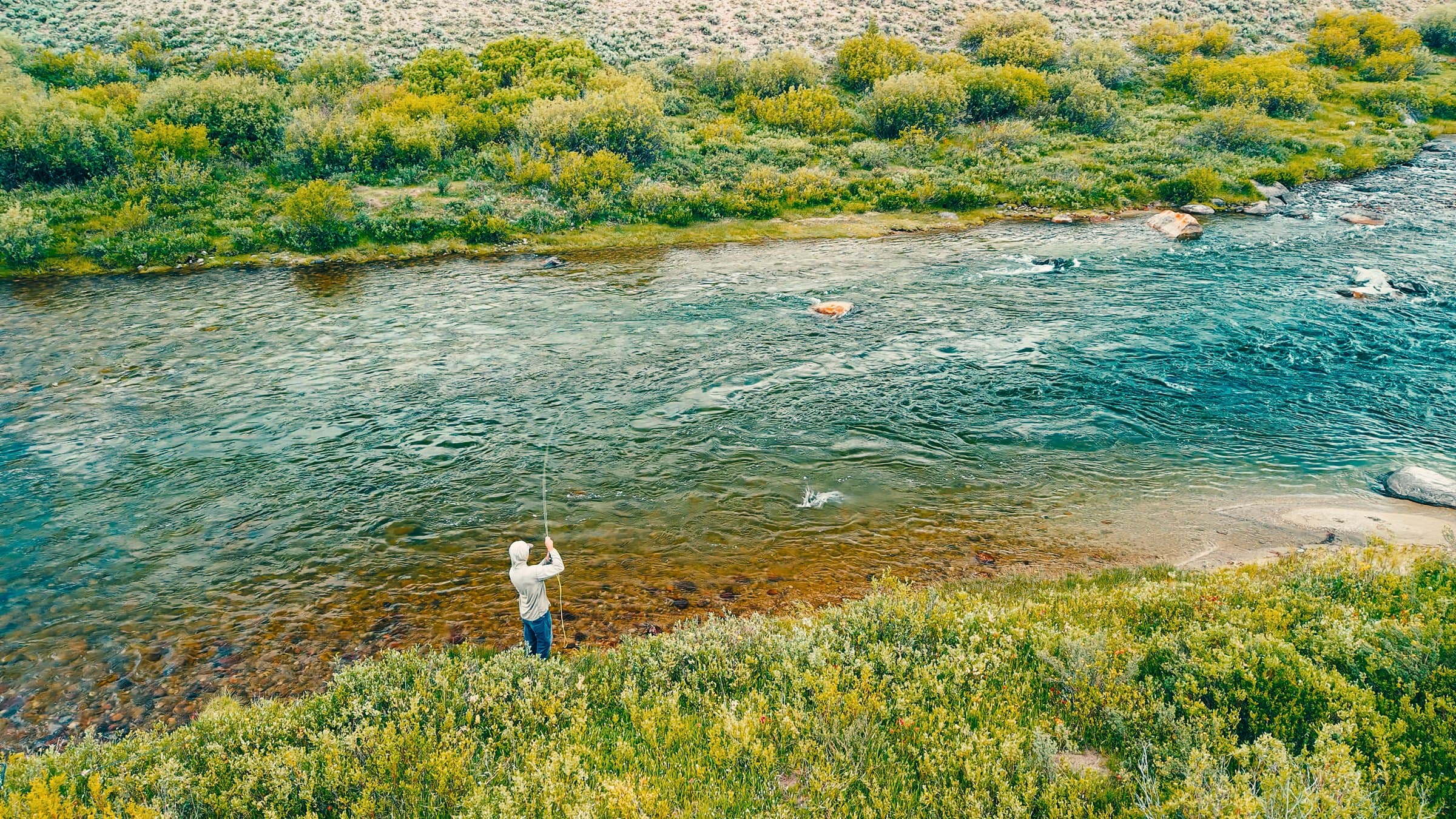 Aerial view of a clear Wyoming trout river used for guided fly fishing trips.
