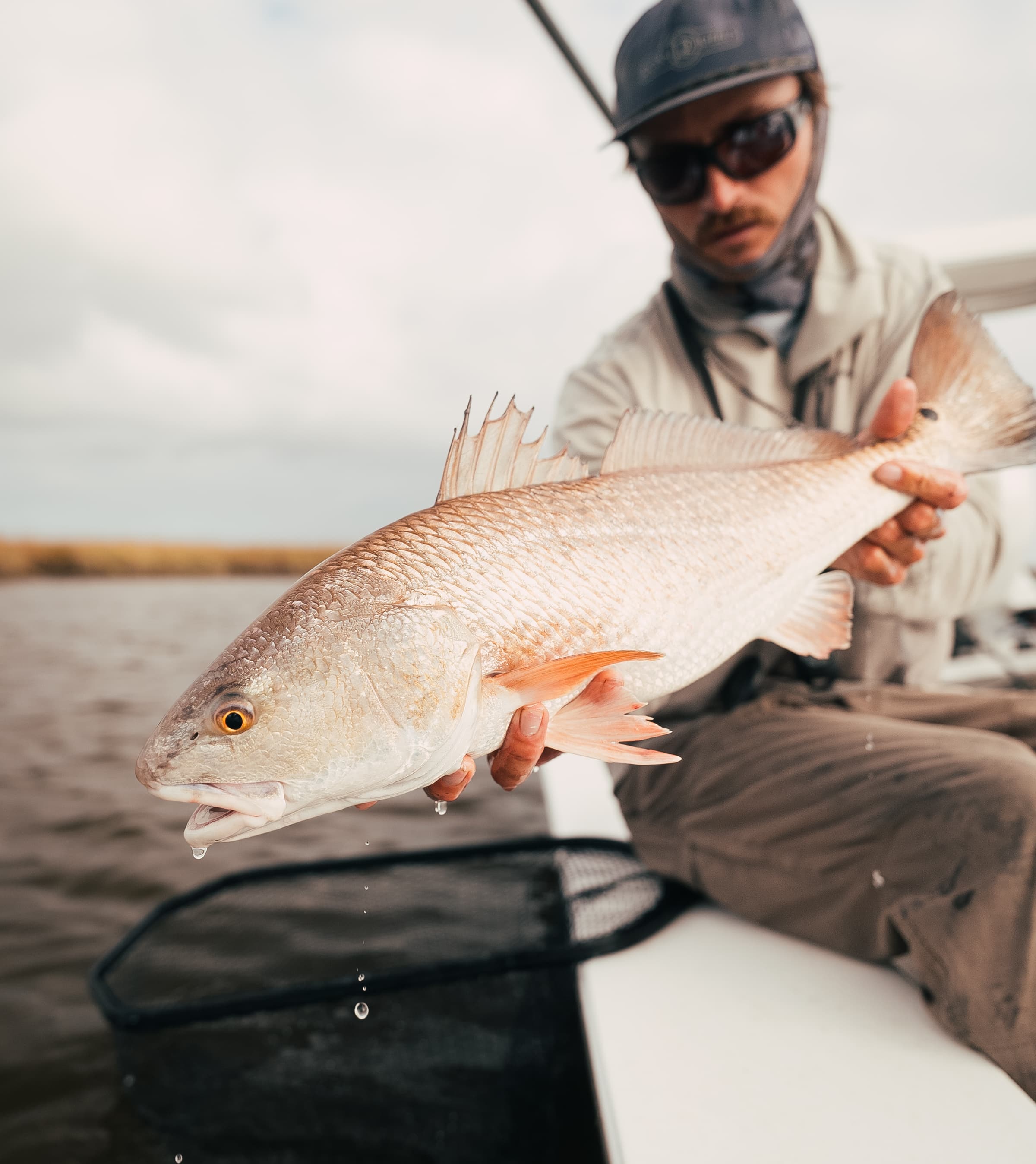 Guide holding a Louisiana redfish during a coastal marsh fly fishing trip.